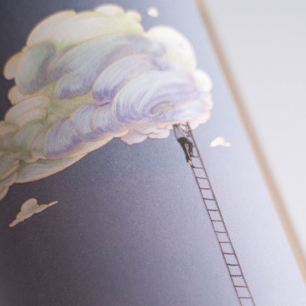 The Cloud Seeker - Sweet White - Niagara (ABV 7%)